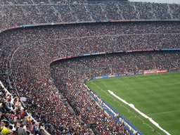 Crowd fills a large football stadium during a FIFA World Cup match.